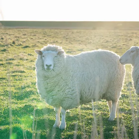 Apartman Alte Schule Vollerwiek *