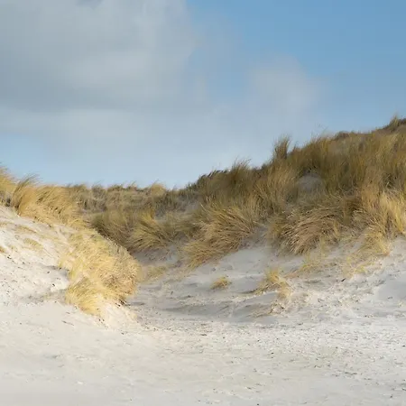 Alte Schule Vollerwiek * Westerhever