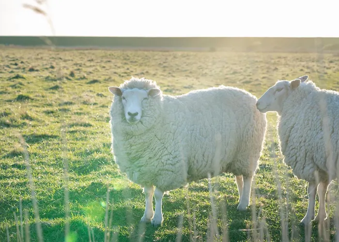 Appartement Alte Schule Vollerwiek *