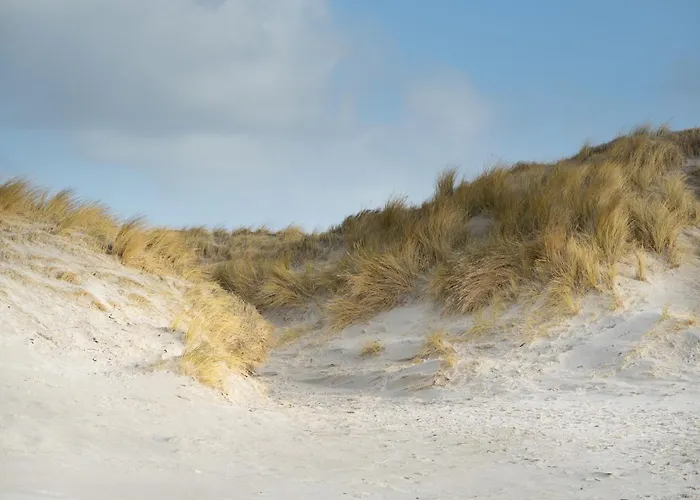 Alte Schule Vollerwiek * Westerhever